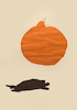 PUMPKIN AND TORTOISE, Oil on Paper, 94x63cm (37x26in)