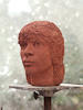 MAORI BOY