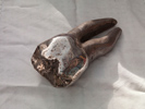 STERLING SILVER TOOTH, 24cm (9.5in)