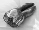 STERLING SILVER TOOTH, 24cm (9.5in)