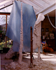 RWANDA, Plaster in the studio, 3.25m, Shown at Royal Academy and Eastnor Castle