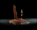 DAY AT THE RACES, Bronze, 43x33cm (17x13in)