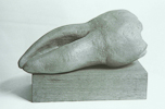 TERRACOTTA TOOTH, 24cm (9.5in)