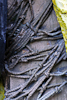 ARRIVING AT ALAYRAC, Painted bronze, 3/4 Tonne, 4.25m (167in), Shown at Gloucester Cathedral and Royal Academy